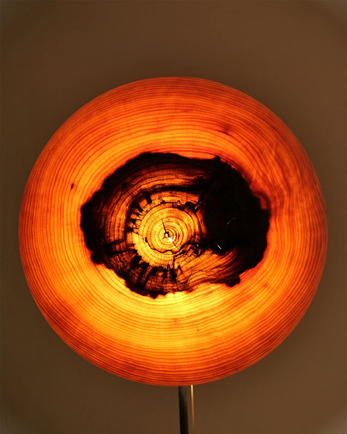Andres Ansper’s lamp on display in the World’s Loneliest Lamp Shop.