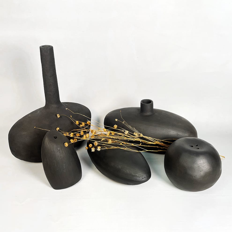 Figure 1 – Jardim Negro, source: Daniela Caraman